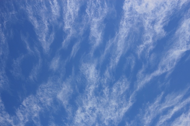 新年年初 3星座领取甜蜜爱情 开启幸福时刻