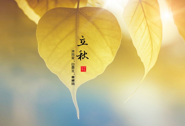 Alex 最近的星象分析