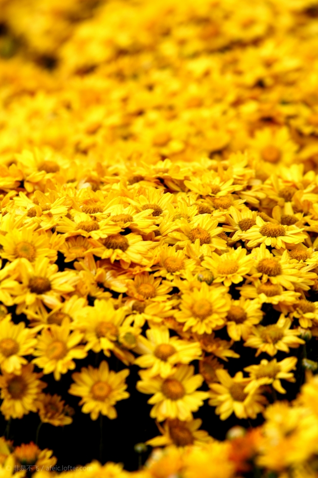 这几个星座爱情总是来得快，去得也快！