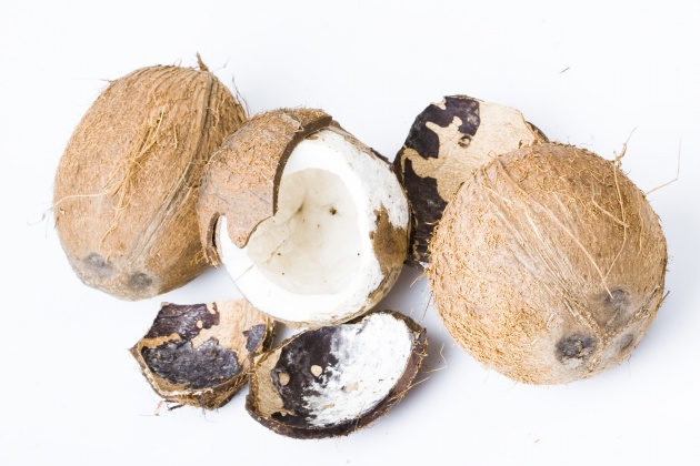 网络科技公司名称大全三个字