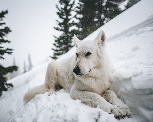 天蝎女魅力养成记 万人迷气质
