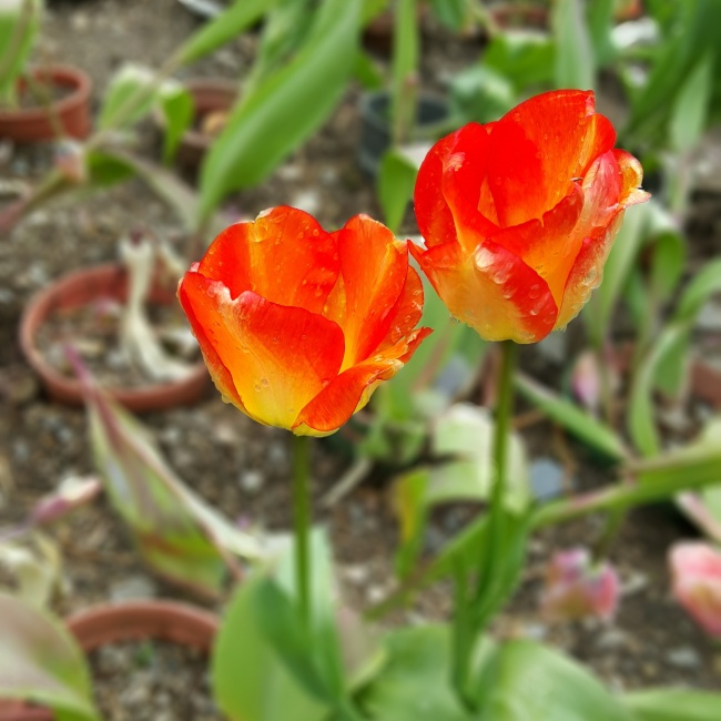 3星座在1月的财运虽好 但也需要注意一些事宜