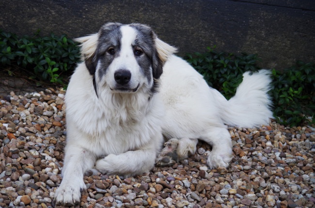 天秤座的悲惨星座配对组合  误会越来越多