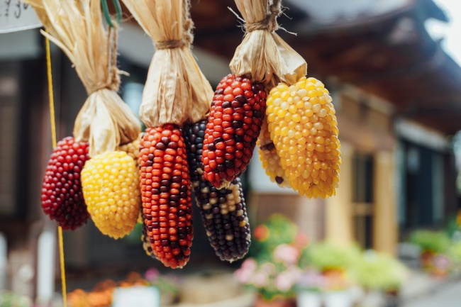 和谐恩爱到白头的星座配对  命中注定