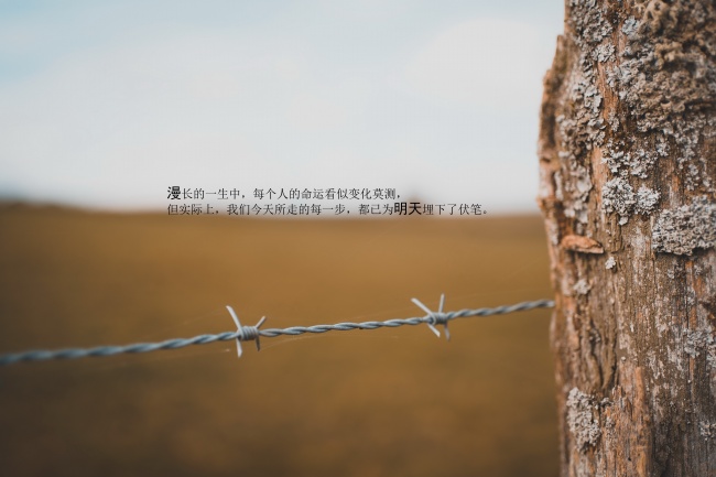 招财大气的公司名字