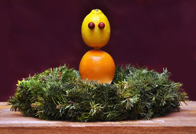 狂月天时 十二星座每日运势1月3日运势