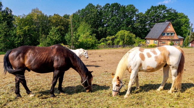 哪些星座2022年健康运极佳 身体健康无病缠