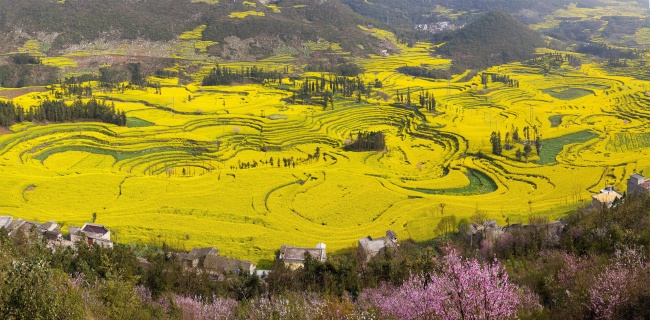 招财旺生意的公司名字三个字