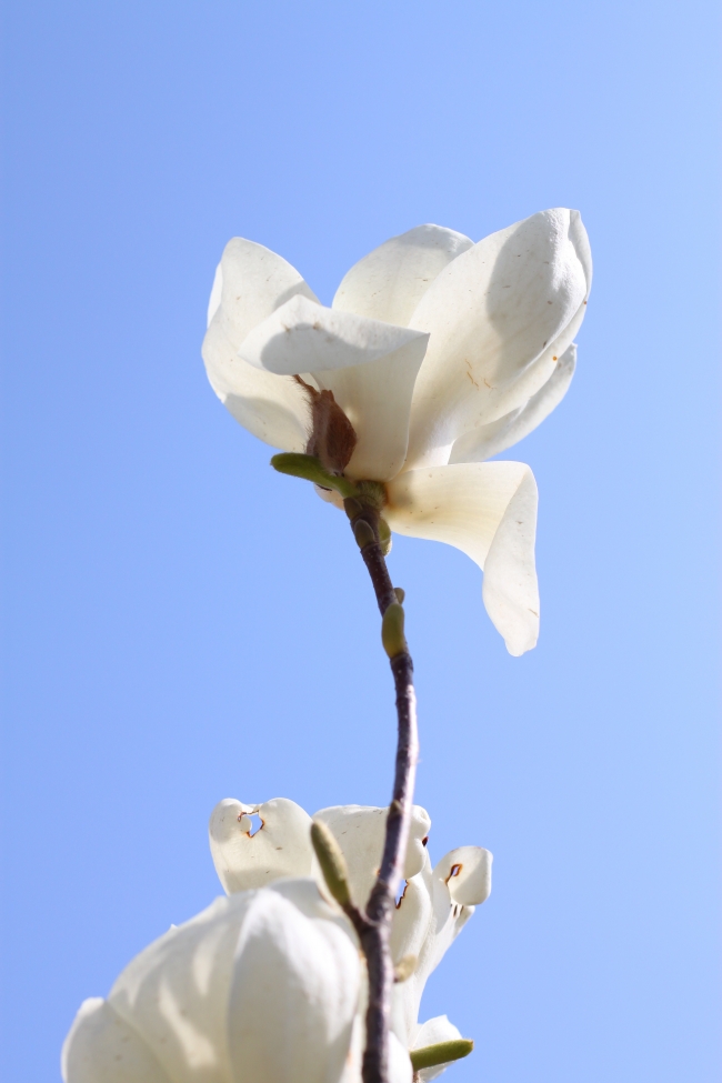 适合成为情侣的星座配对 天造地设