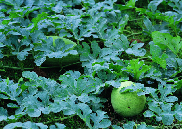 低调大气有内涵的公司名字
