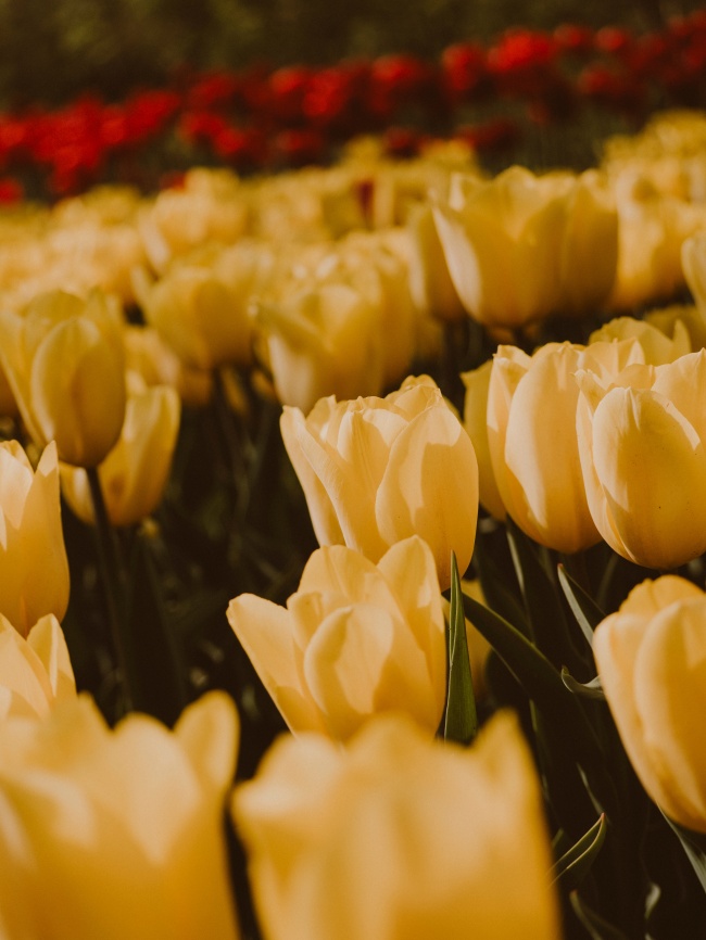 三个字的广告公司名字简单大气