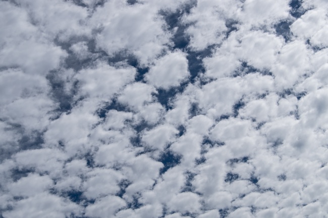 喜庆的婚庆公司名字