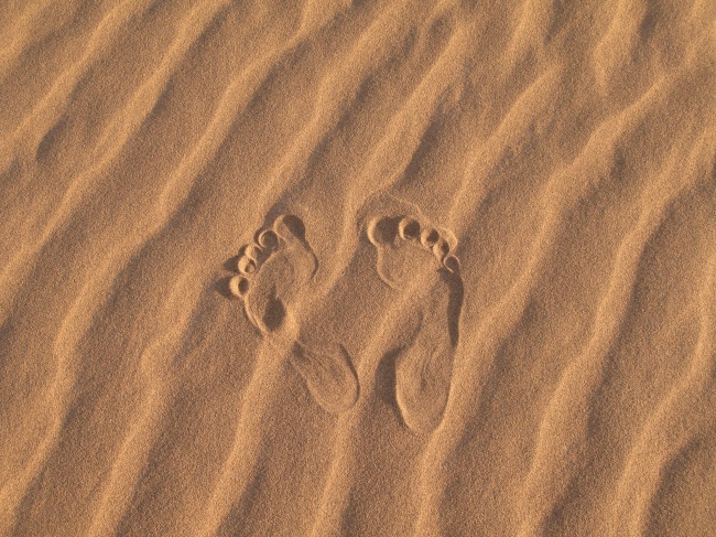 1月下旬财运最旺的3星座 事业进展顺利