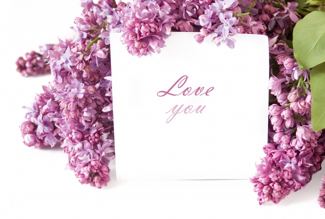 注定会与双子结婚的星座 不可错过