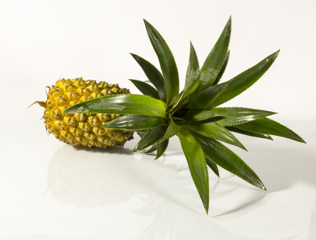 水瓶座注定纠缠几辈子的星座配对  相爱相杀