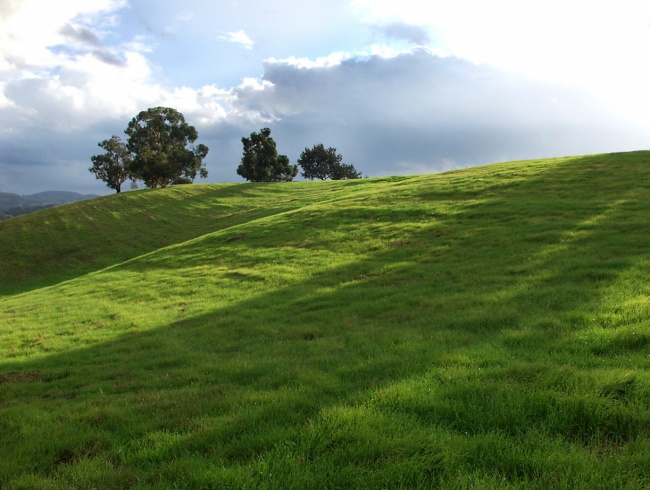 十二星座2022年11月份爱情运势前四排名