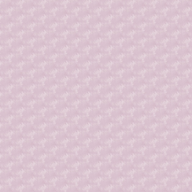 好运降临 在2月努力就有双倍回报的星座