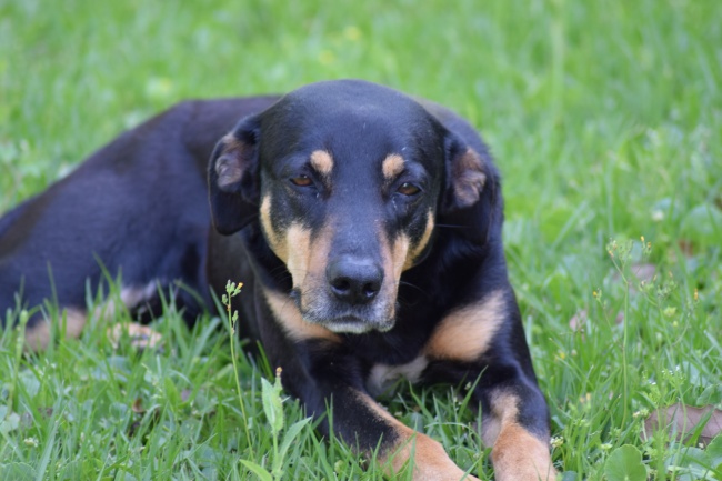 大气的装饰公司名字四字