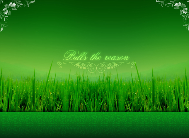 好听的电脑公司名字大全