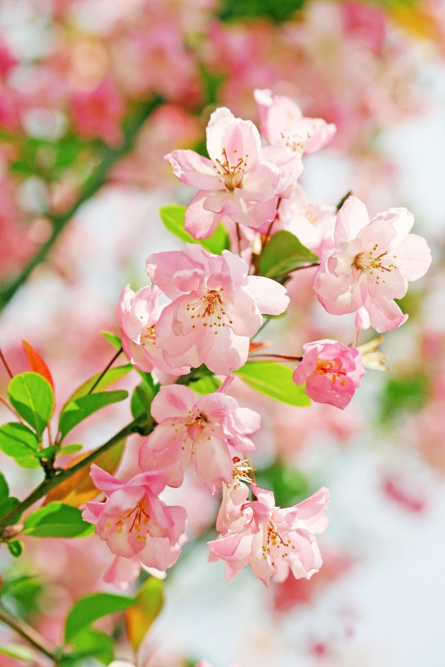 驭夫有术的三大星座女，是你吗