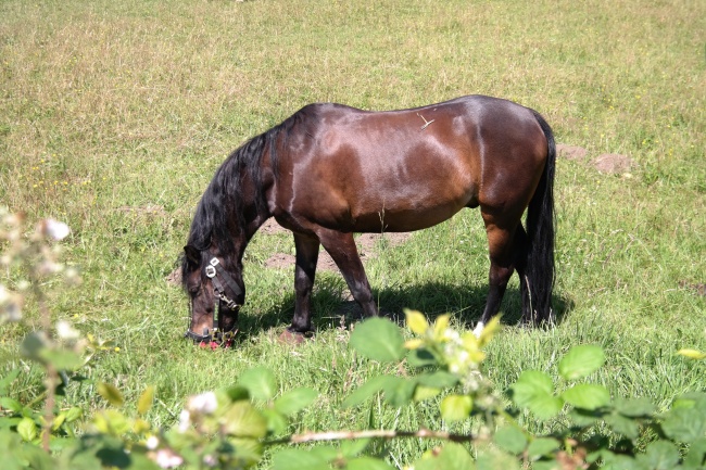 双鱼座2022年满月 惊喜来临