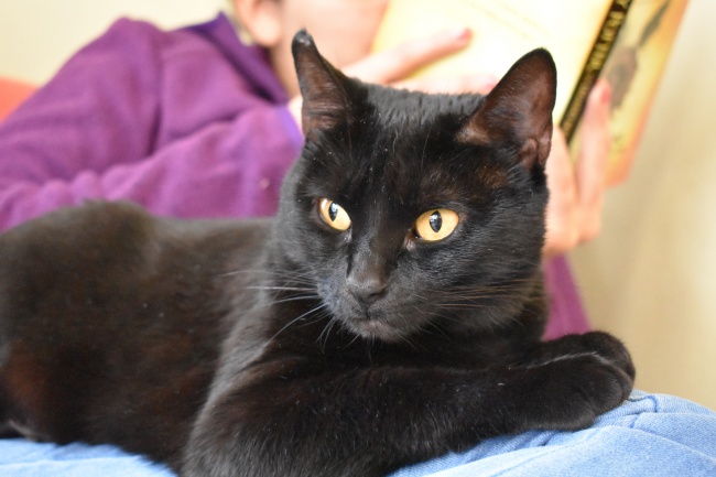 与天蝎男恋爱的忠告 不要谈及性话题