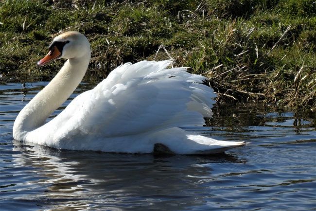 2022年射手座满月 注意人际关系
