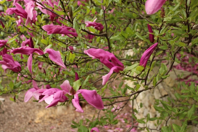 装修公司名称免费起名