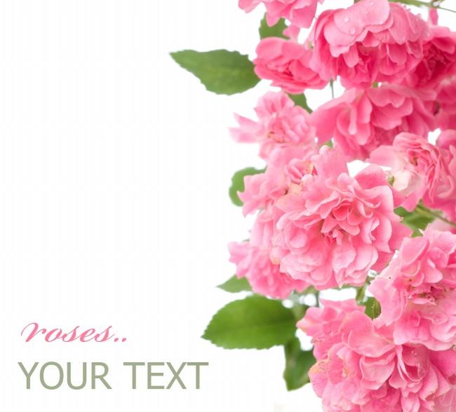 金牛男的坏脾气你知道？固执易怒