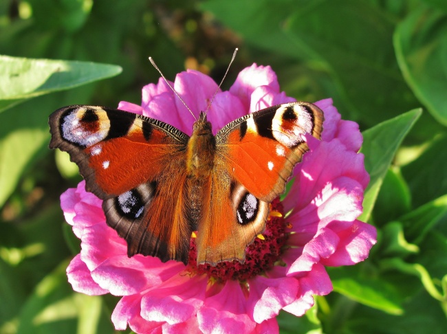 网络游戏公司取名好听