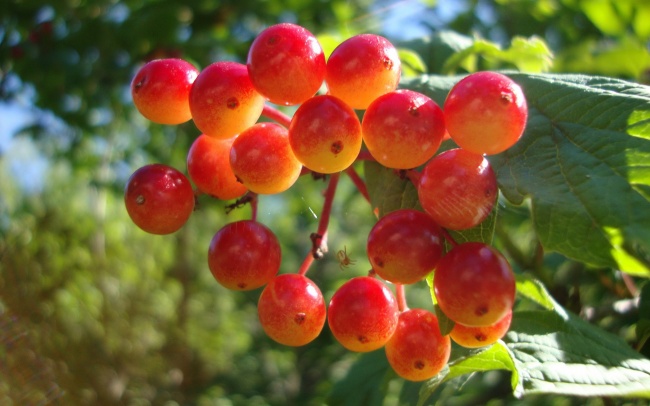 在2月下旬，一拍即合，携手与共的三大星座