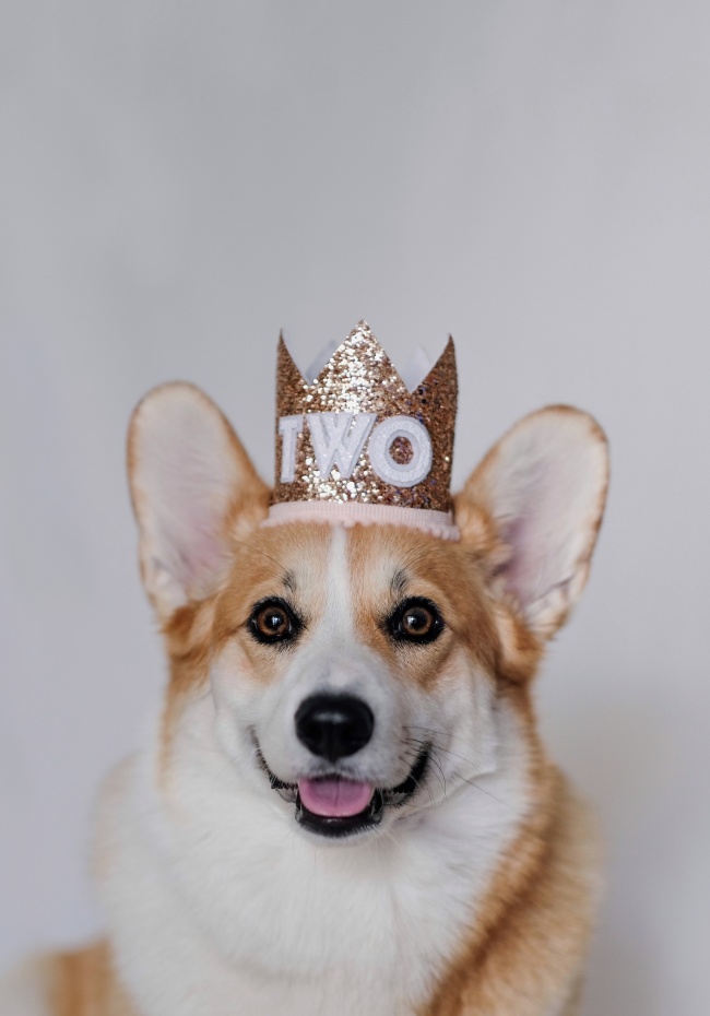 五行属土的公司名称