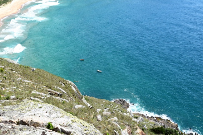 可爱的你适合养盆多肉 太古玉系生石花