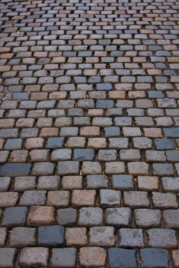 素洁高雅的满天星适合送给谁