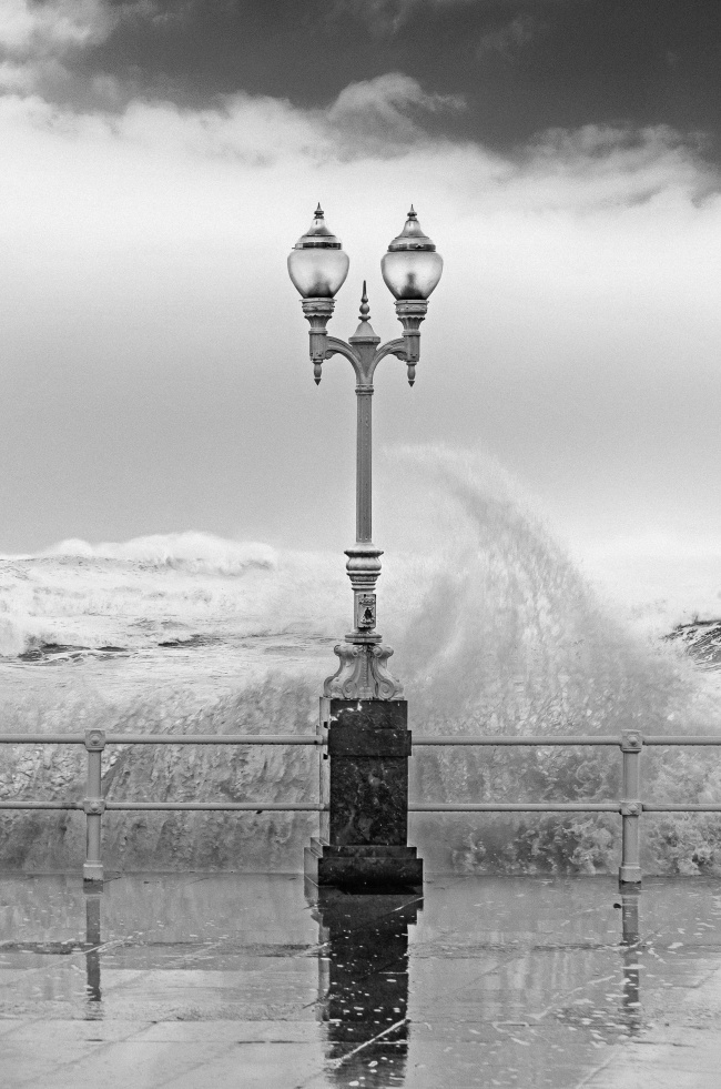 女朋友生气了 就买束百合花给她吧
