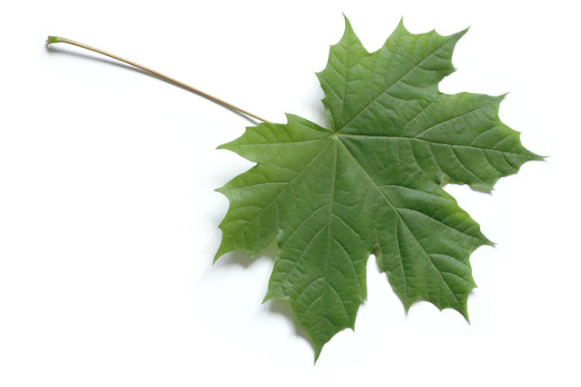 带金字的公司名有哪些