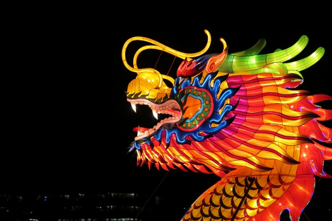 热情奔放的玫瑰还象征着什么