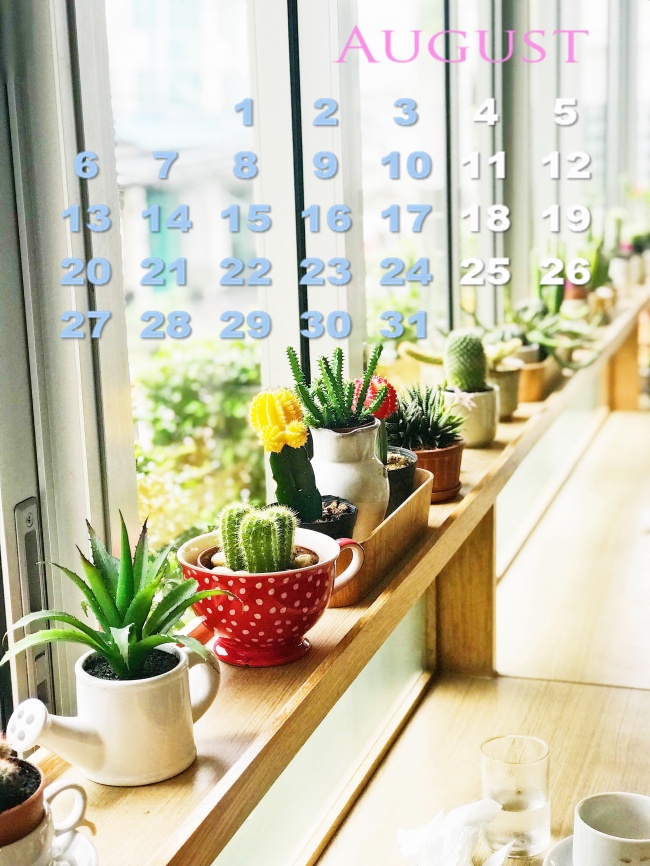 蓝色妖姬听着妖艳其实它的寓意是