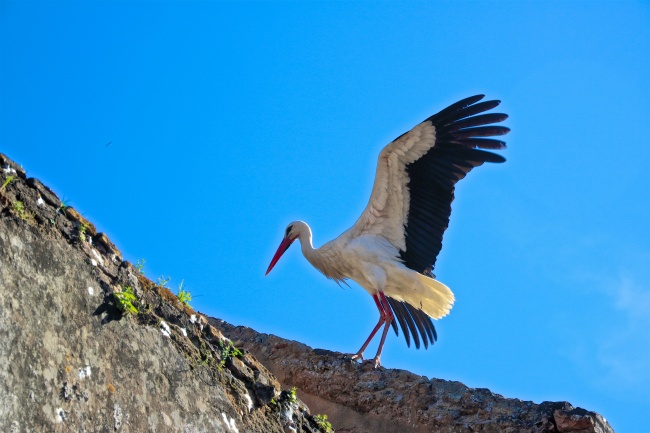 判答 12星座近期大事提前看！