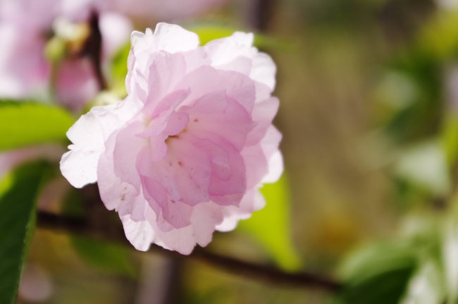 给晚辈压岁钱最大方的三大星座 狮子座好面子