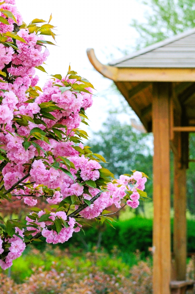 白羊男哪些话暗示喜欢你 担负责任