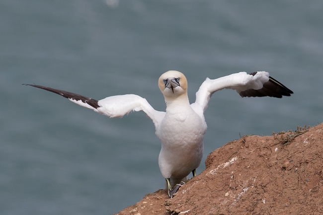 摩羯男多久会腻 长长久久