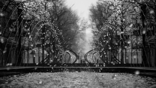 狮子男宠老婆方式 慷慨热情