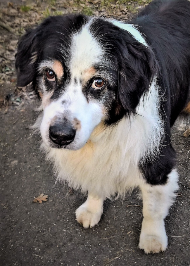水瓶男的坏脾气你知道？情绪直线上升