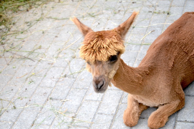 喜提真爱，幸福和谐的三大星座