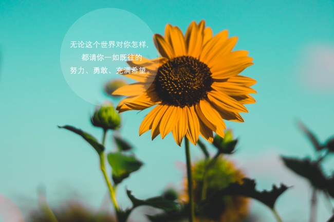 春节过后最幸运的星座排行 幸运宠儿会有你吗