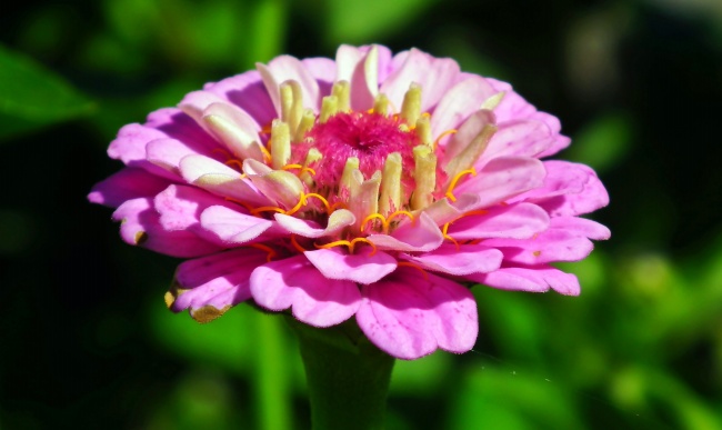 商贸公司取名名字库