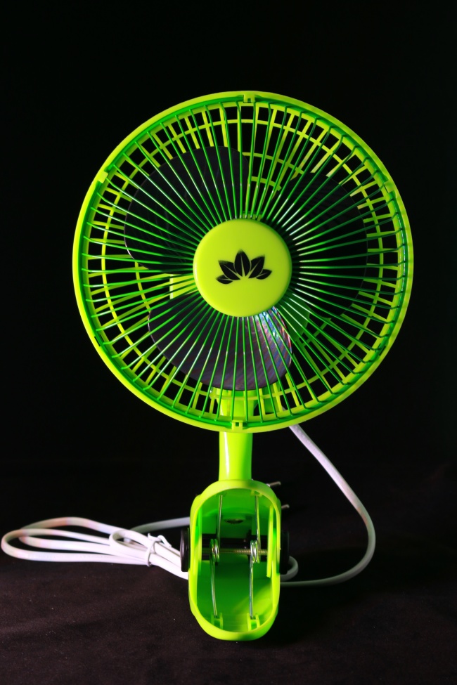 春节过后感情最顺的星座 情场得意