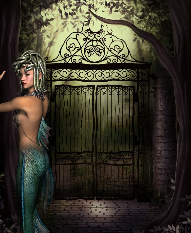 唐立淇 今日星座运势2022.2.14