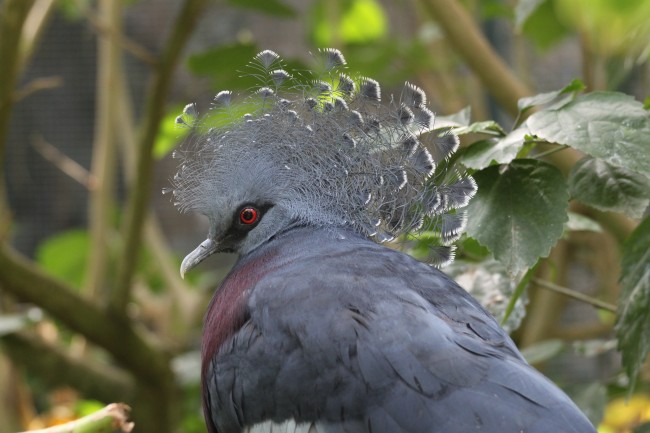 深情守护其乐融融的三大星座